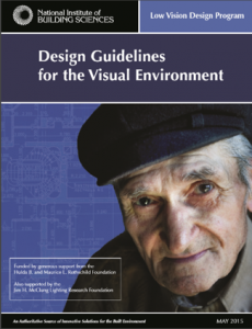 Design Guidelines for the Visual Environments
